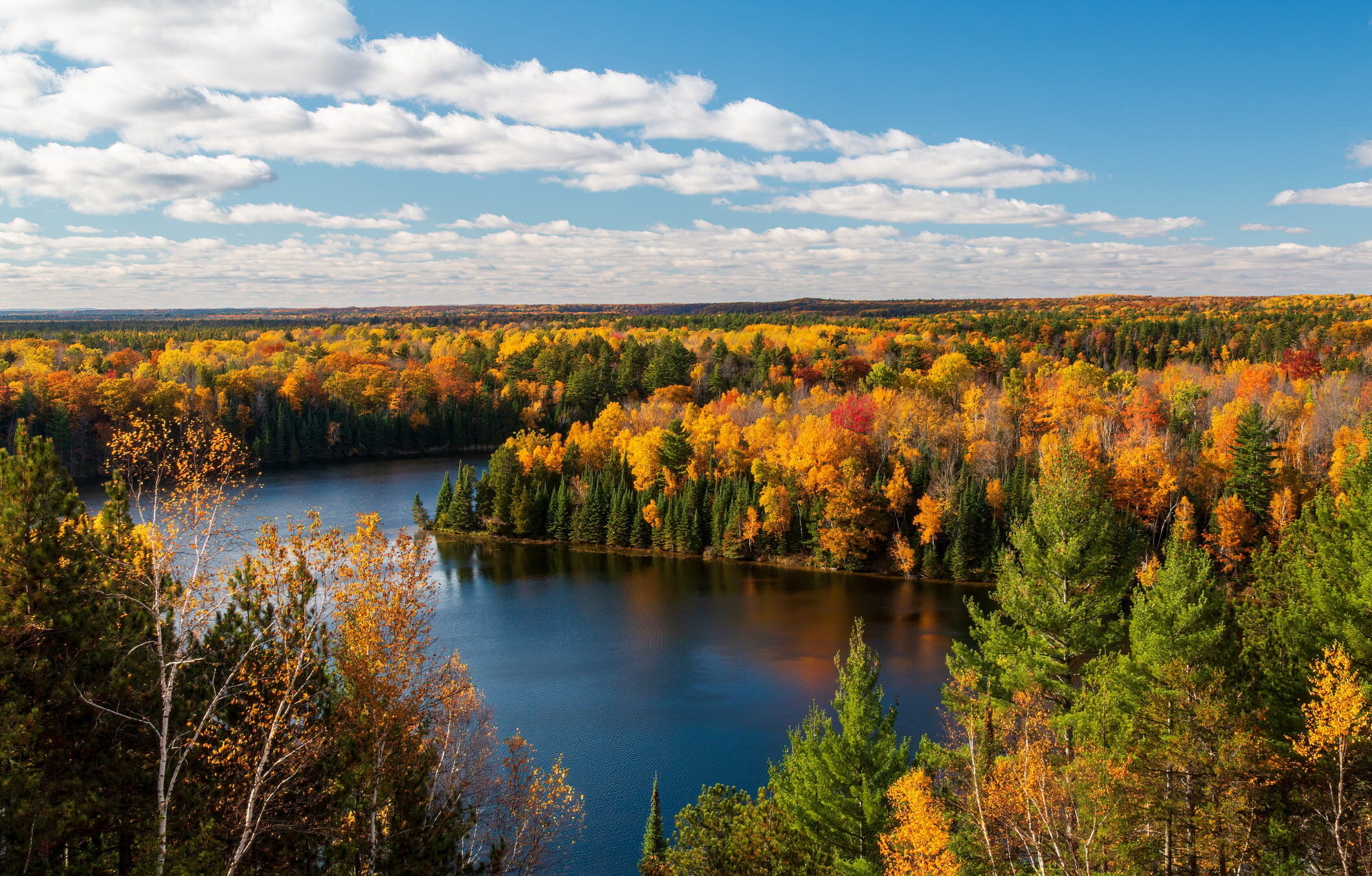 Salesforce Recruiters in Michigan