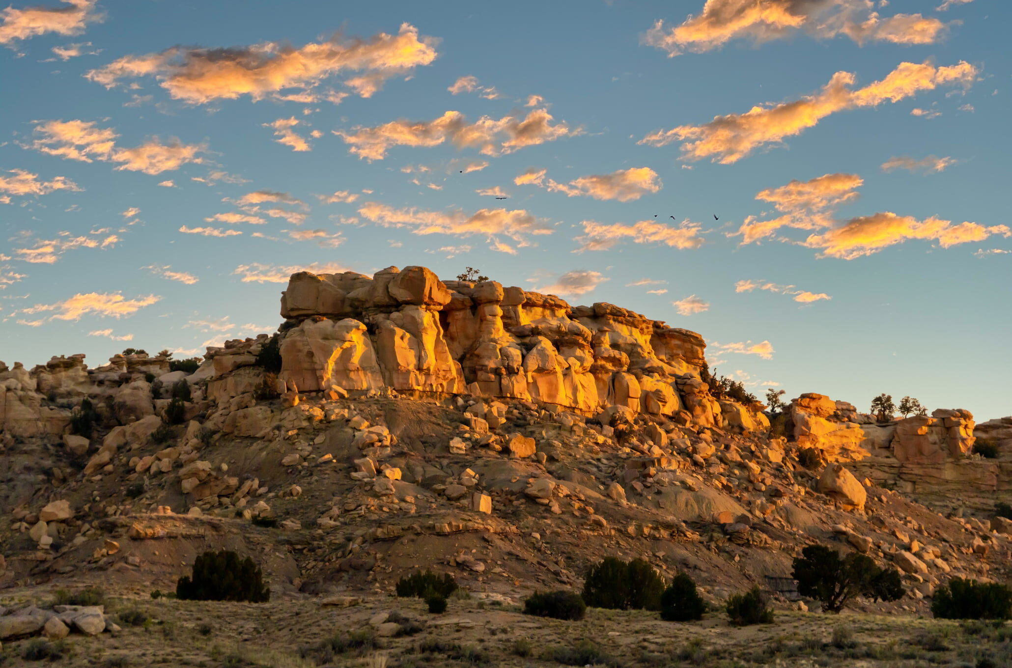 Sales Recruiter in New Mexico