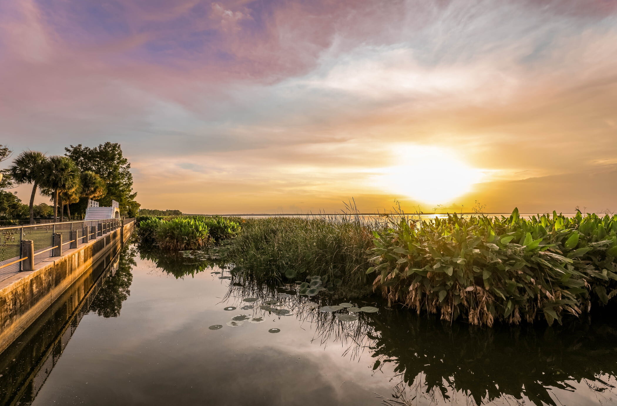 Salesforce Recruitment in Florida