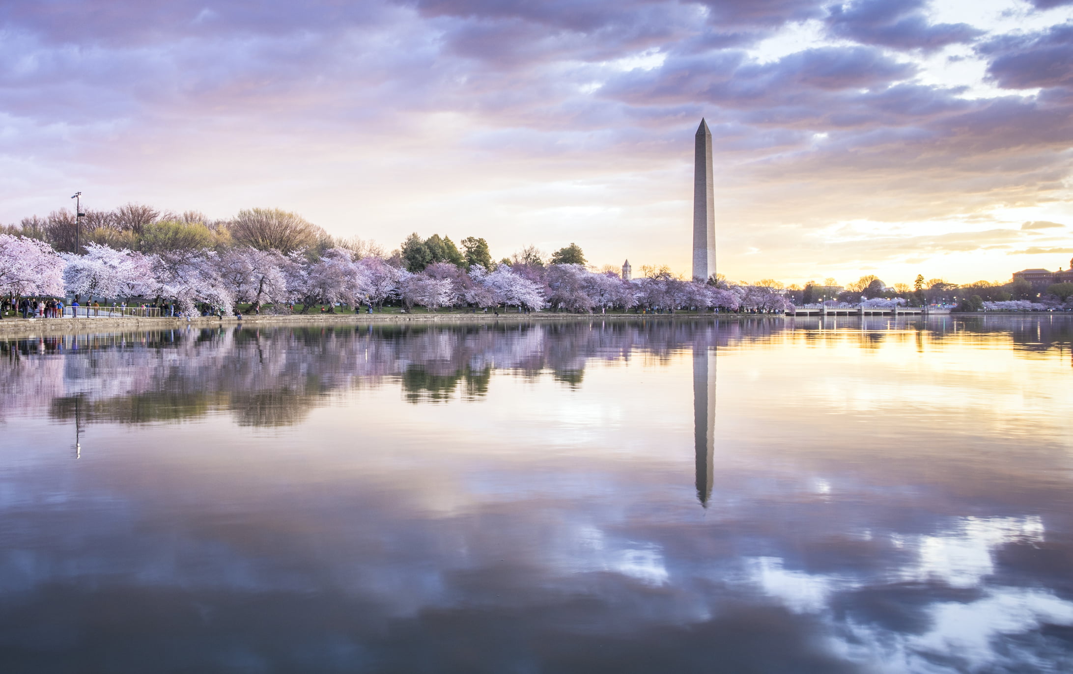 Sales Recruiter in District of Columbia