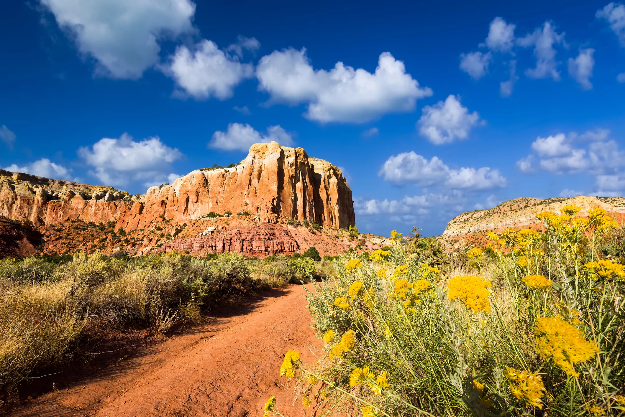 Salesforce Recruitment in New Mexico